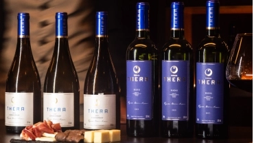 EXPERI&Ecirc;NCIA SAFRA A SAFRA